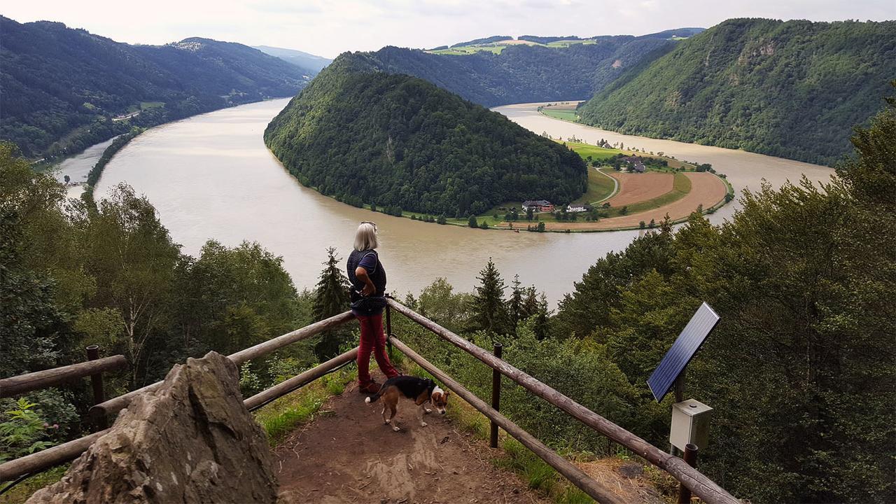 Gasthof 'Zum Alten Turm' Haslach an der Mühl Zewnętrze zdjęcie